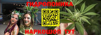 PSILOCYBIN Кимры