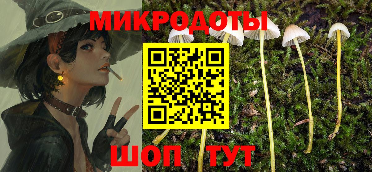 Псилоцибиновые грибы Cubensis  Галлюциногенные грибы MAGIC MUSHROOMS  Вход с VPN  наркота  Коркино 